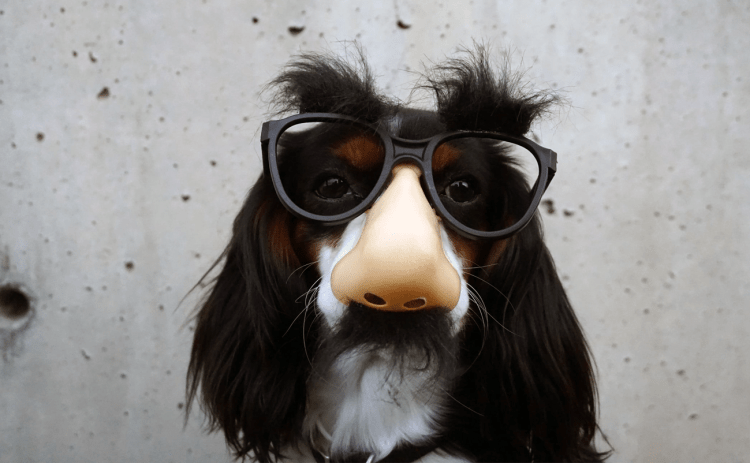 #WednesdayWisdom – Certainly I&nbsp;can!